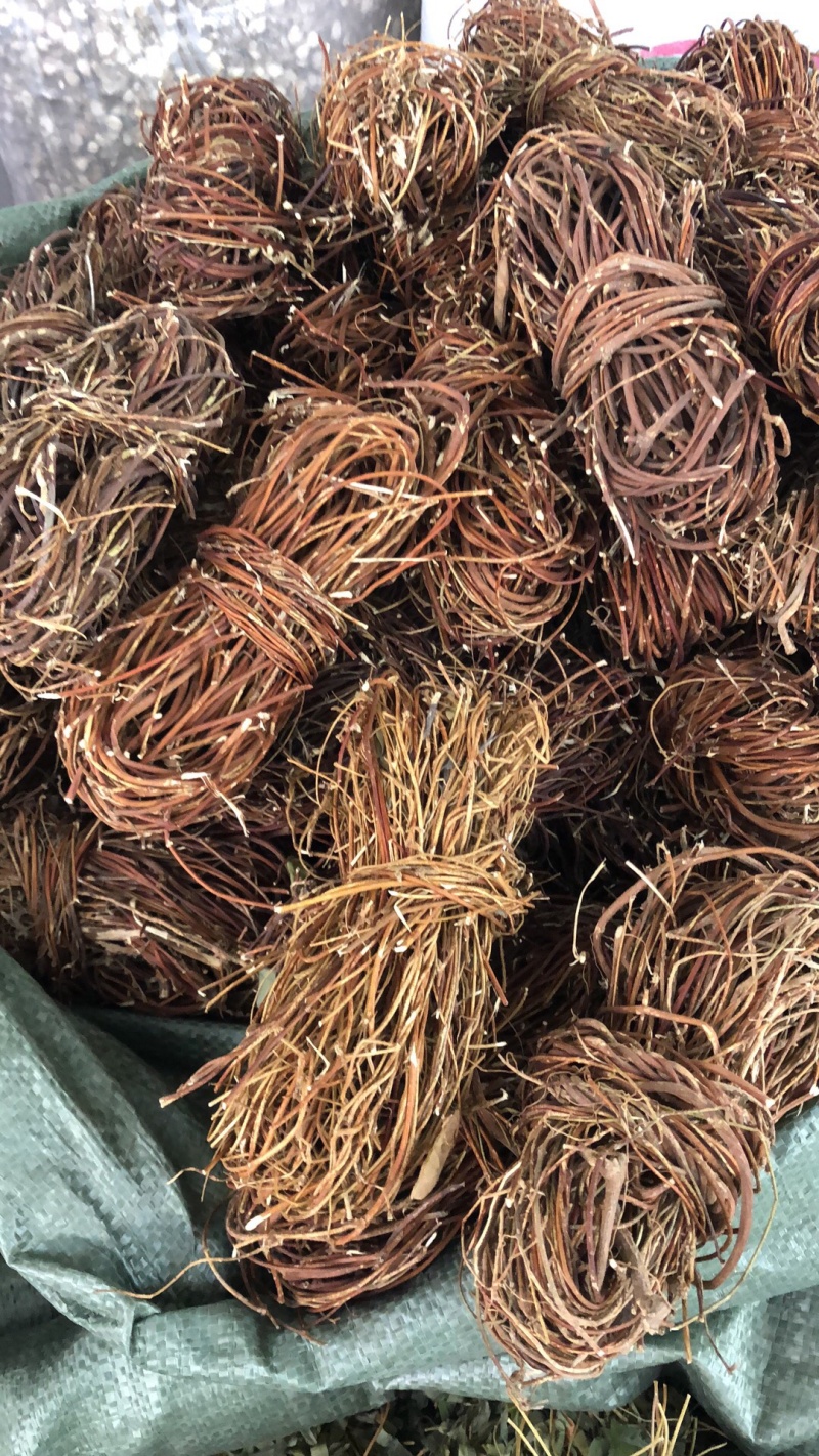 新货广西鸡骨草扎把无硫光杆