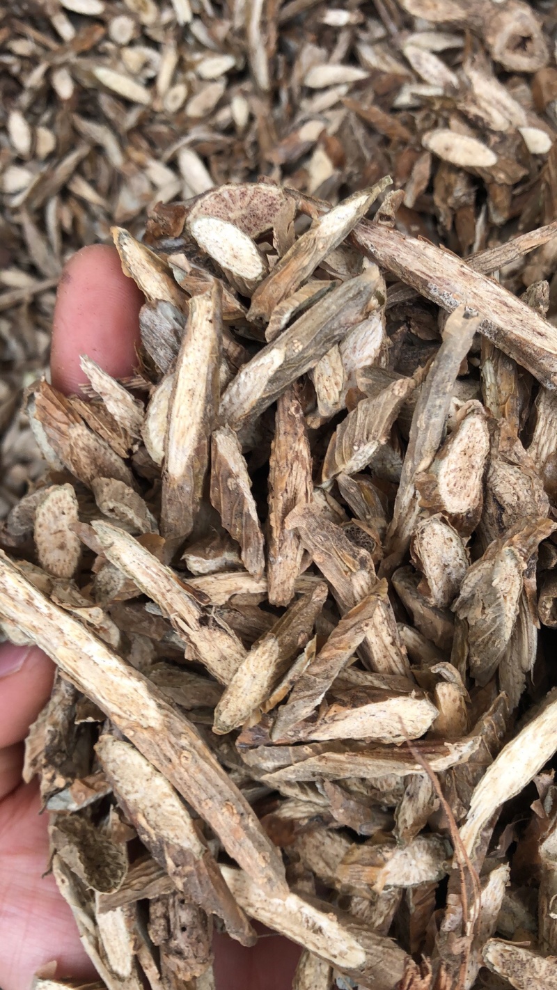 新货宽筋藤大小片型都有货好