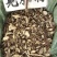 新货宽筋藤大小片型都有货好