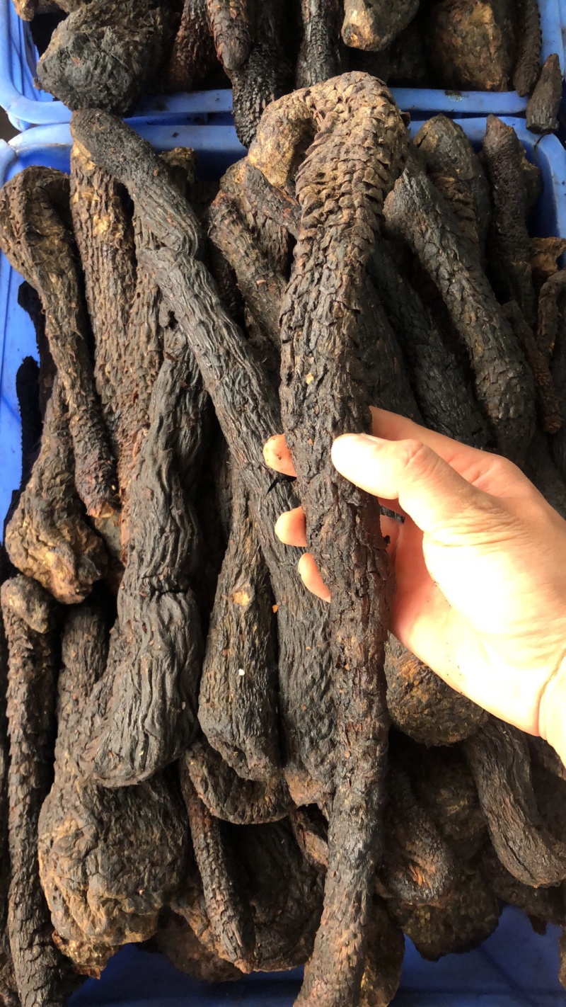 中药材新货新疆肉丛蓉条子切片