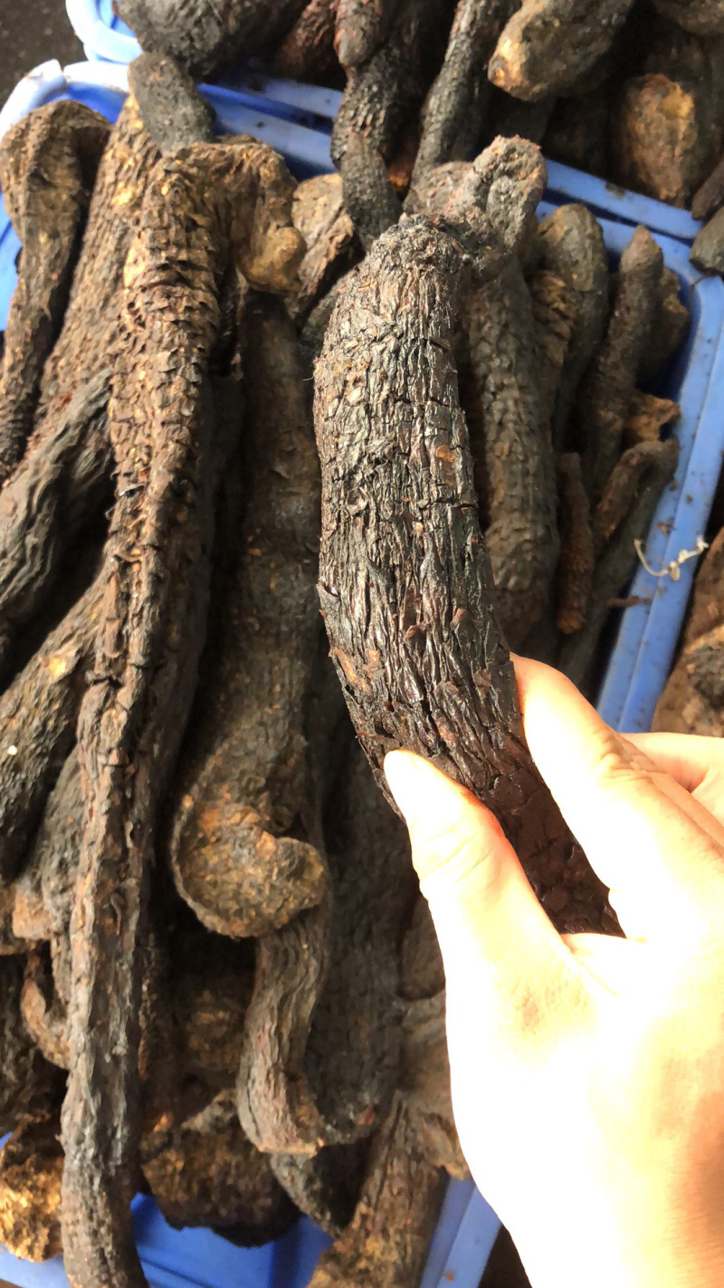 中药材新货新疆肉丛蓉条子切片