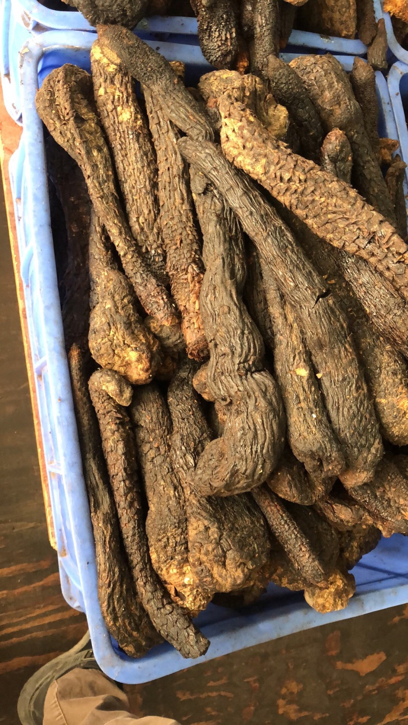 中药材新货新疆肉丛蓉条子切片