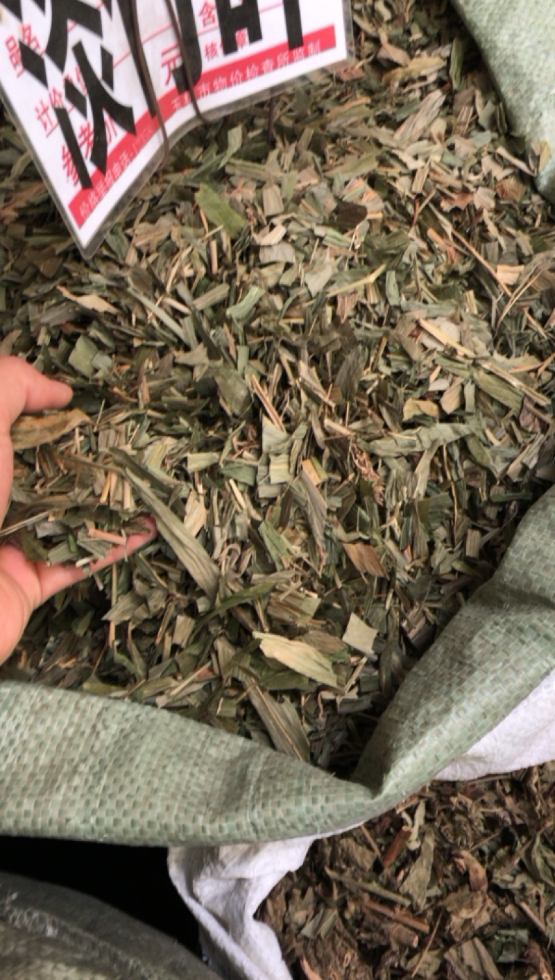中药材新货淡竹叶条子都有精品