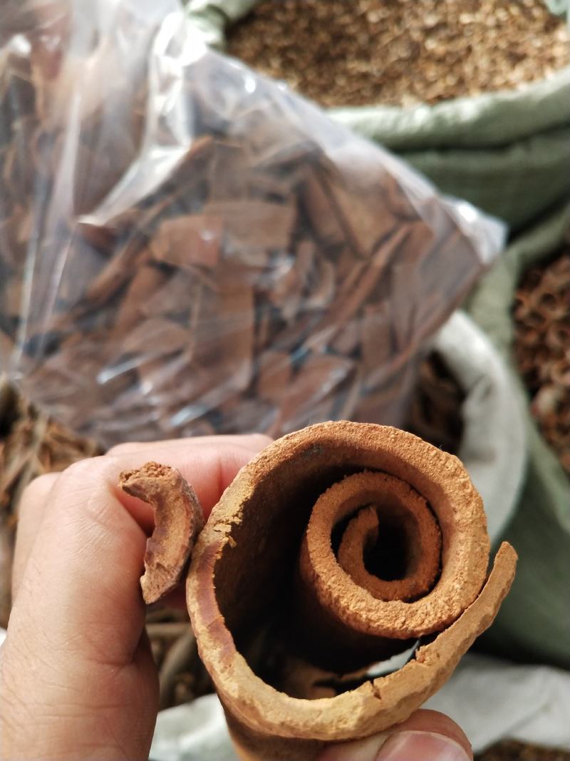油桂，越南油桂油质好油色靓