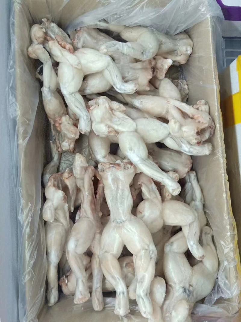 牛蛙冻牛蛙禾田鸡蛙类去皮牛蛙单冻牛蛙