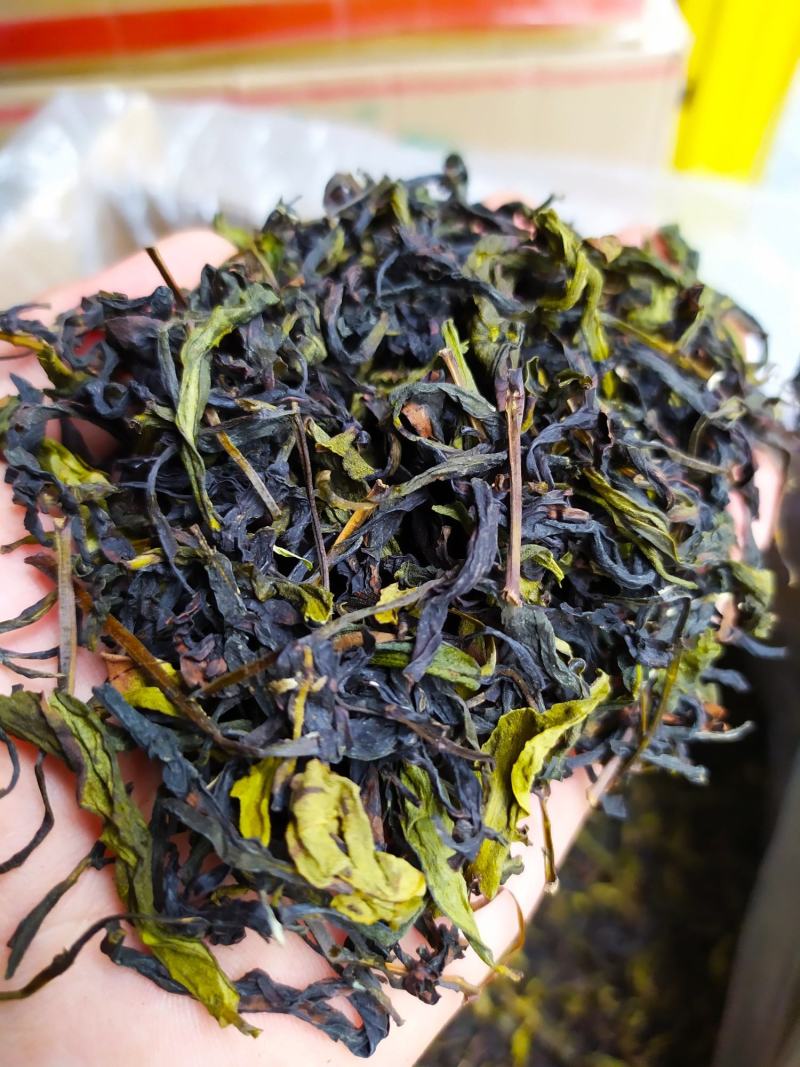 八仙茶心惠来土山茶潮汕高山茶诏安八仙茶1斤大坪土山茶