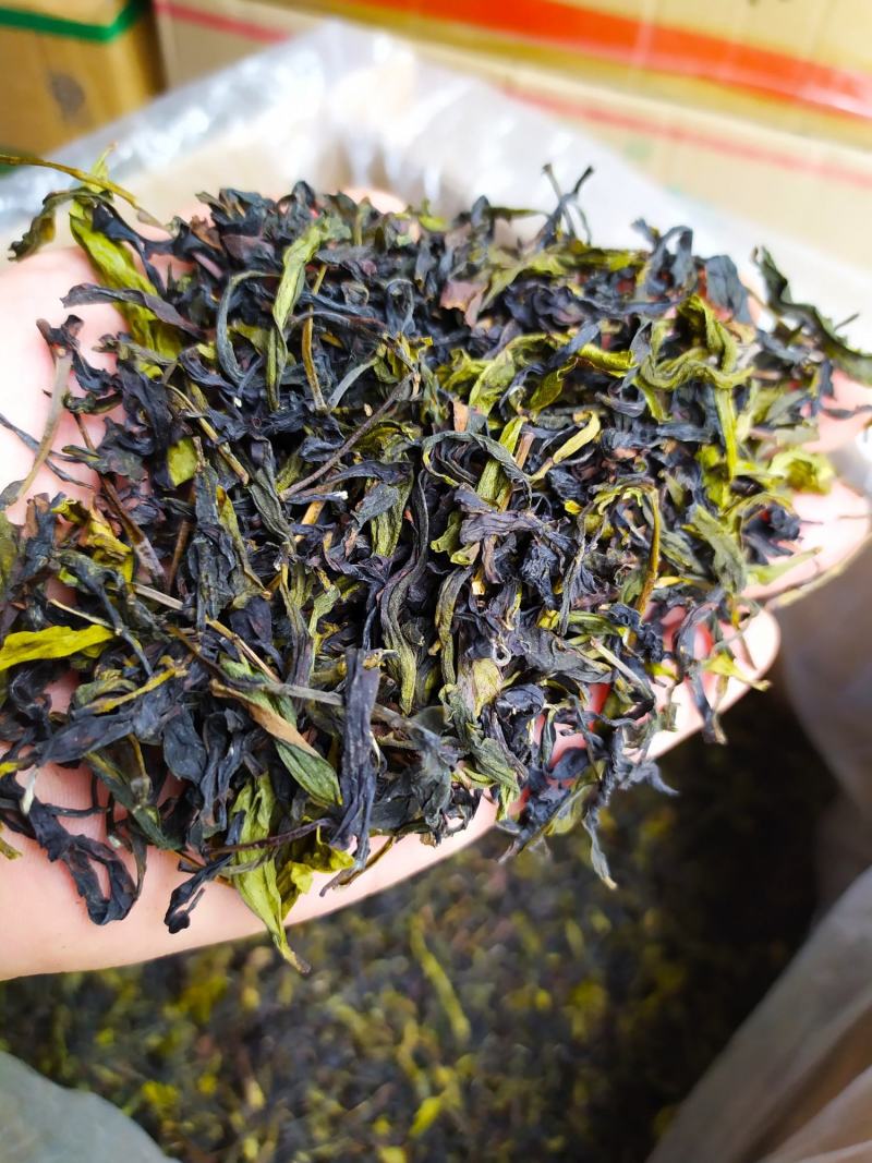 八仙茶心惠来土山茶潮汕高山茶诏安八仙茶1斤大坪土山茶