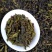 八仙茶心惠来土山茶潮汕高山茶诏安八仙茶1斤大坪土山茶