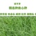 护坡高羊毛草坪护坡草种种子种子厂家直销欢迎咨询