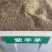 护坡高羊毛草坪护坡草种种子种子厂家直销欢迎咨询
