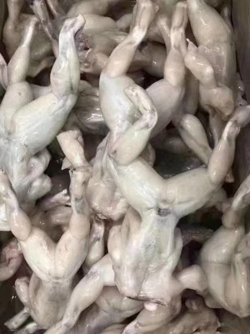 牛蛙冻牛蛙禾田鸡蛙类去皮牛蛙单冻牛蛙