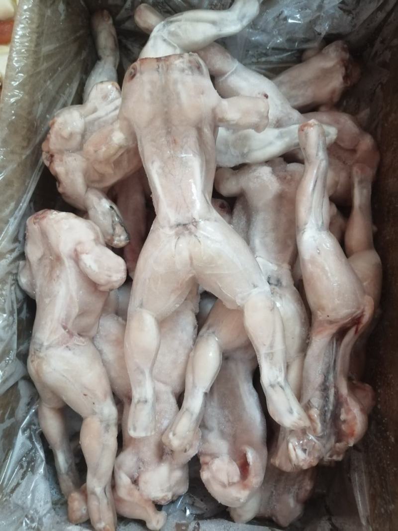 牛蛙冻牛蛙禾田鸡蛙类去皮牛蛙单冻牛蛙