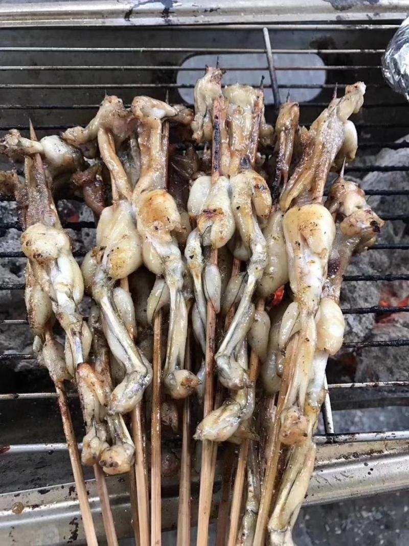 牛蛙冻牛蛙禾田鸡蛙类去皮牛蛙单冻牛蛙