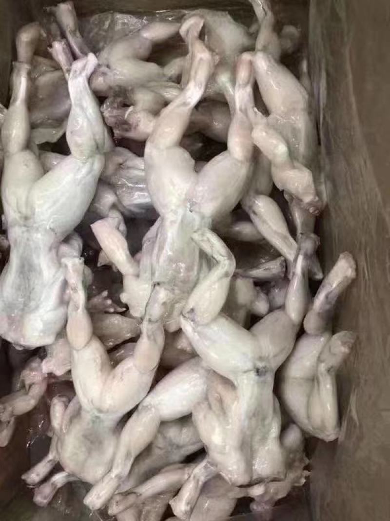 牛蛙冻牛蛙禾田鸡蛙类去皮牛蛙单冻牛蛙