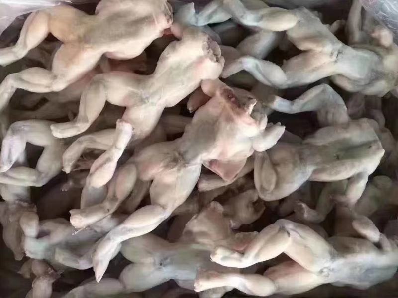 牛蛙冻牛蛙禾田鸡蛙类去皮牛蛙单冻牛蛙