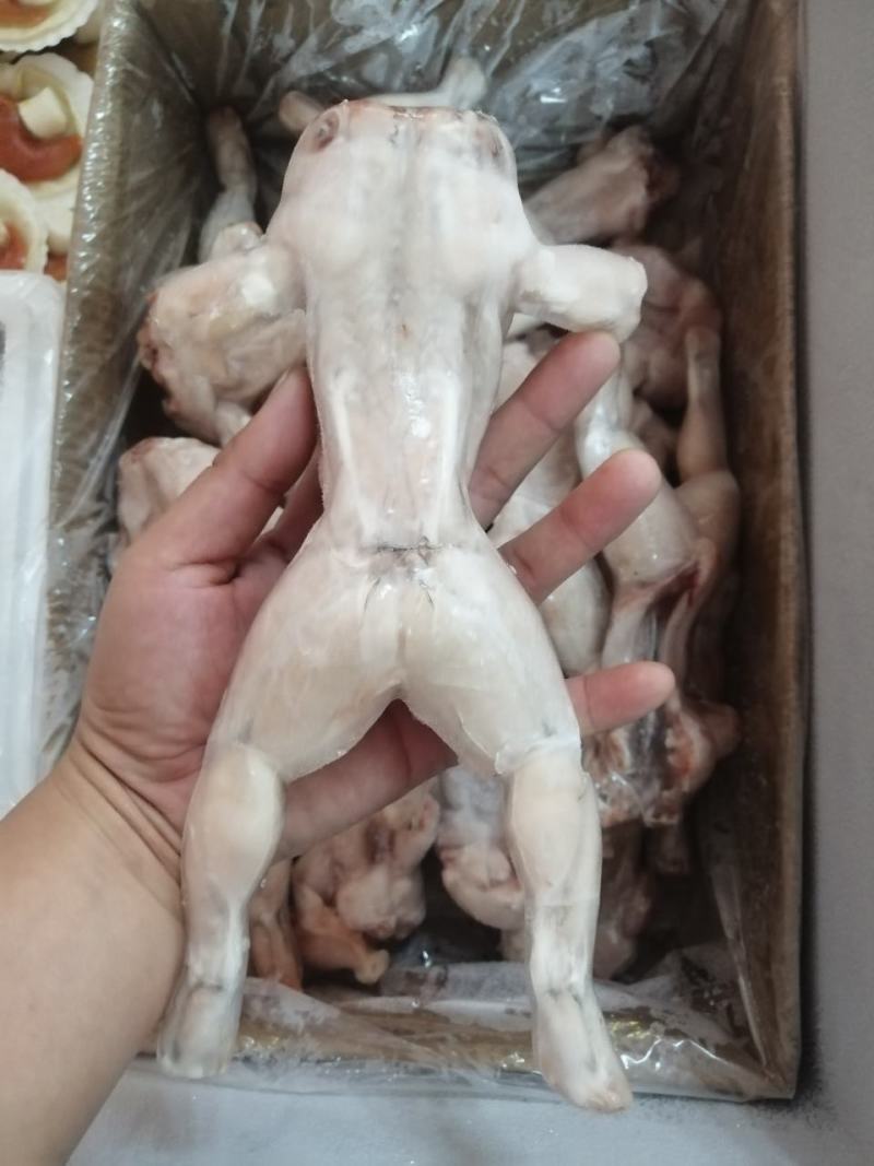 牛蛙冻牛蛙禾田鸡蛙类去皮牛蛙单冻牛蛙