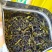 惠来土山茶潮汕工夫茶精选大坪土山茶富硒八仙茶1斤高山茶叶