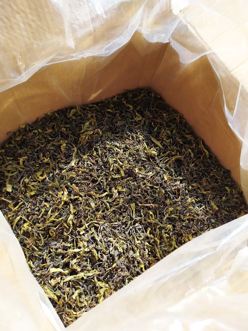 惠来土山茶潮汕工夫茶精选大坪土山茶富硒八仙茶1斤高山茶叶