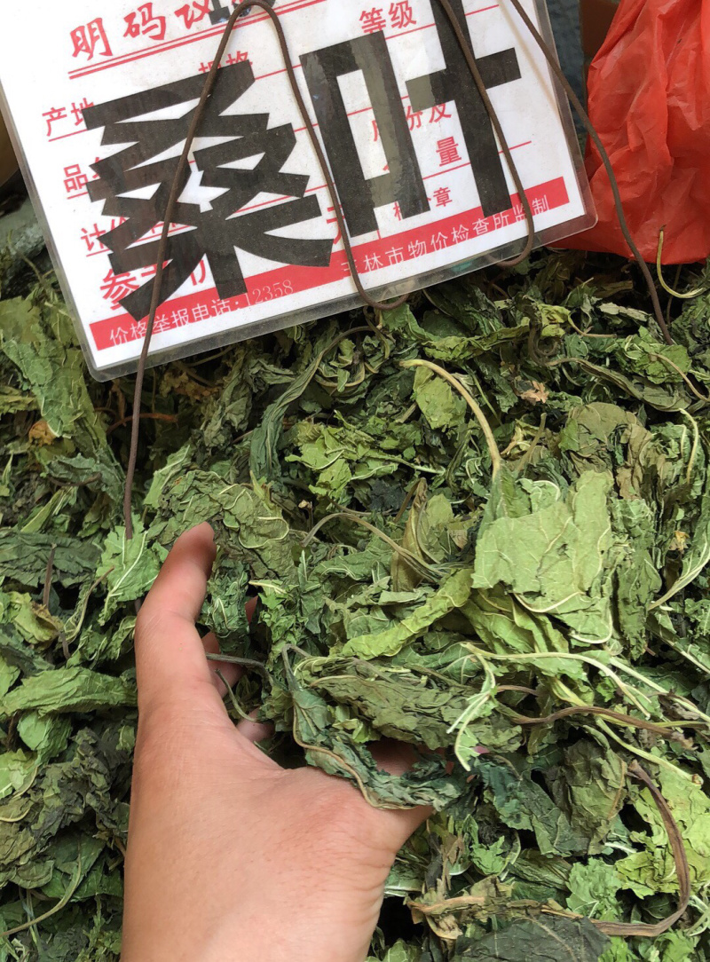 广西新货桑叶货好够干质量好