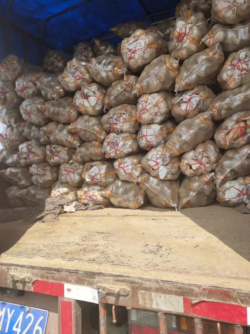 小范助农.荷兰十五土豆.精品货源，产地充足.本地价格，