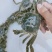 山东大闸蟹（成蟹、蟹苗）