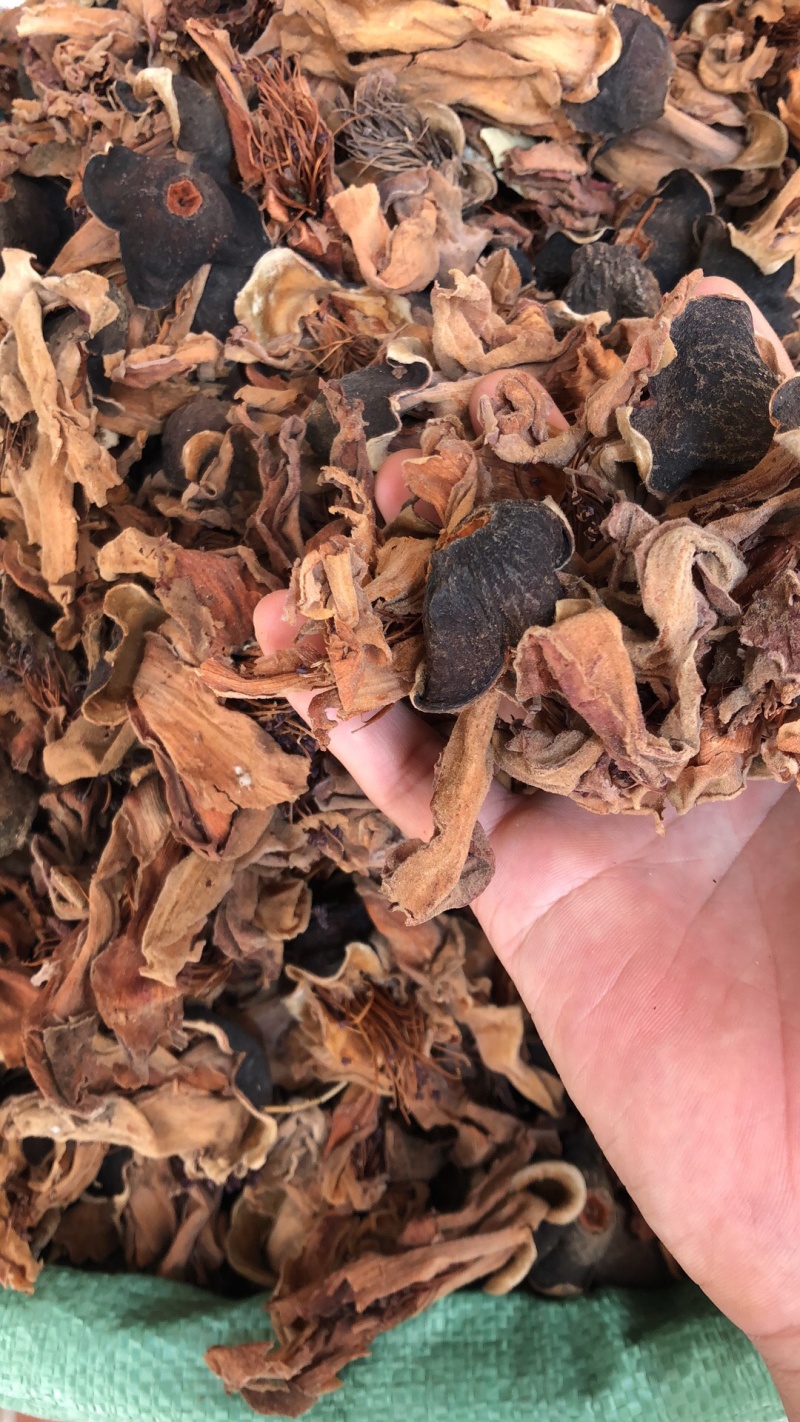 今年新货木棉花味道香喷喷滴