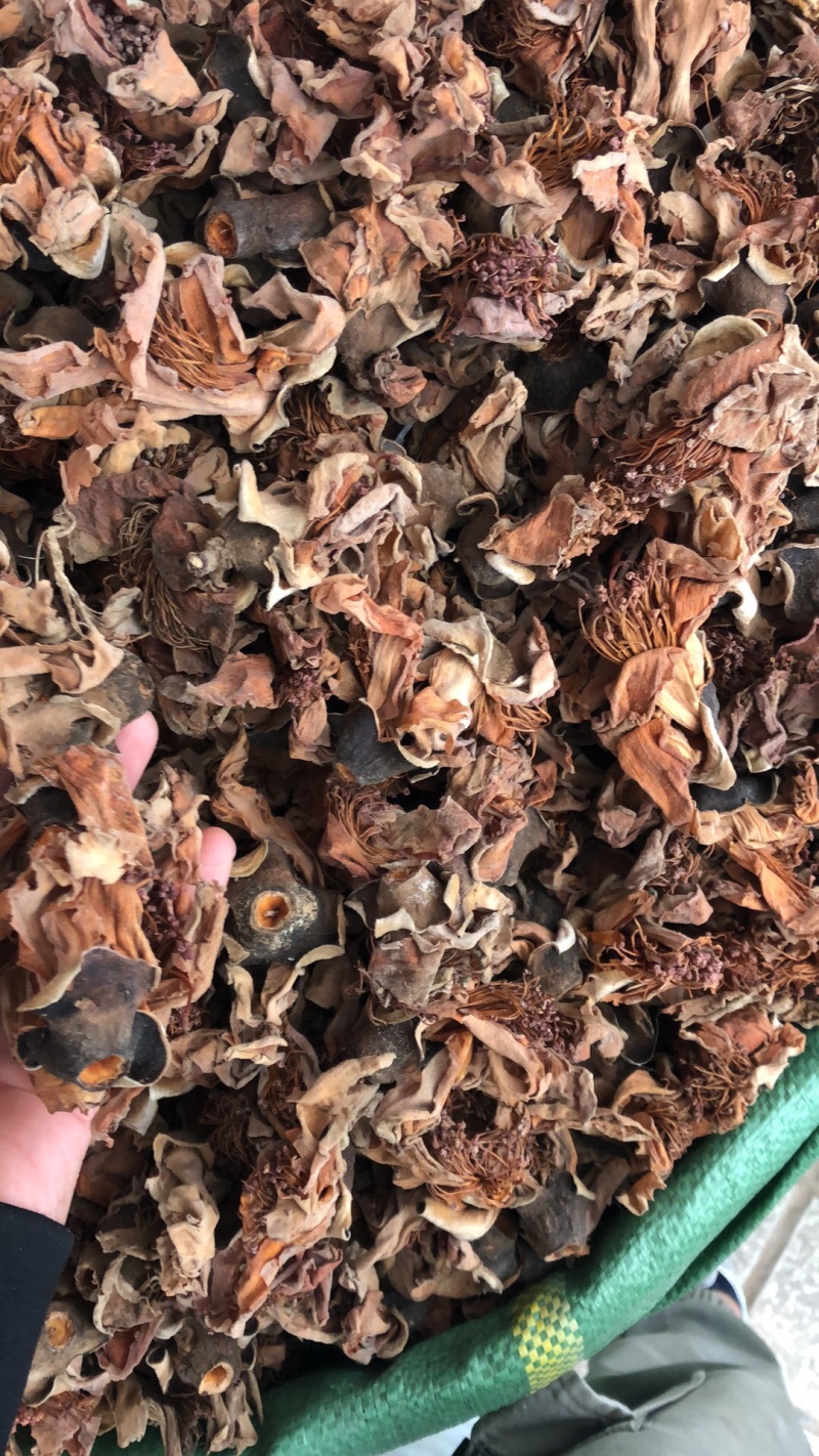 今年新货木棉花味道香喷喷滴