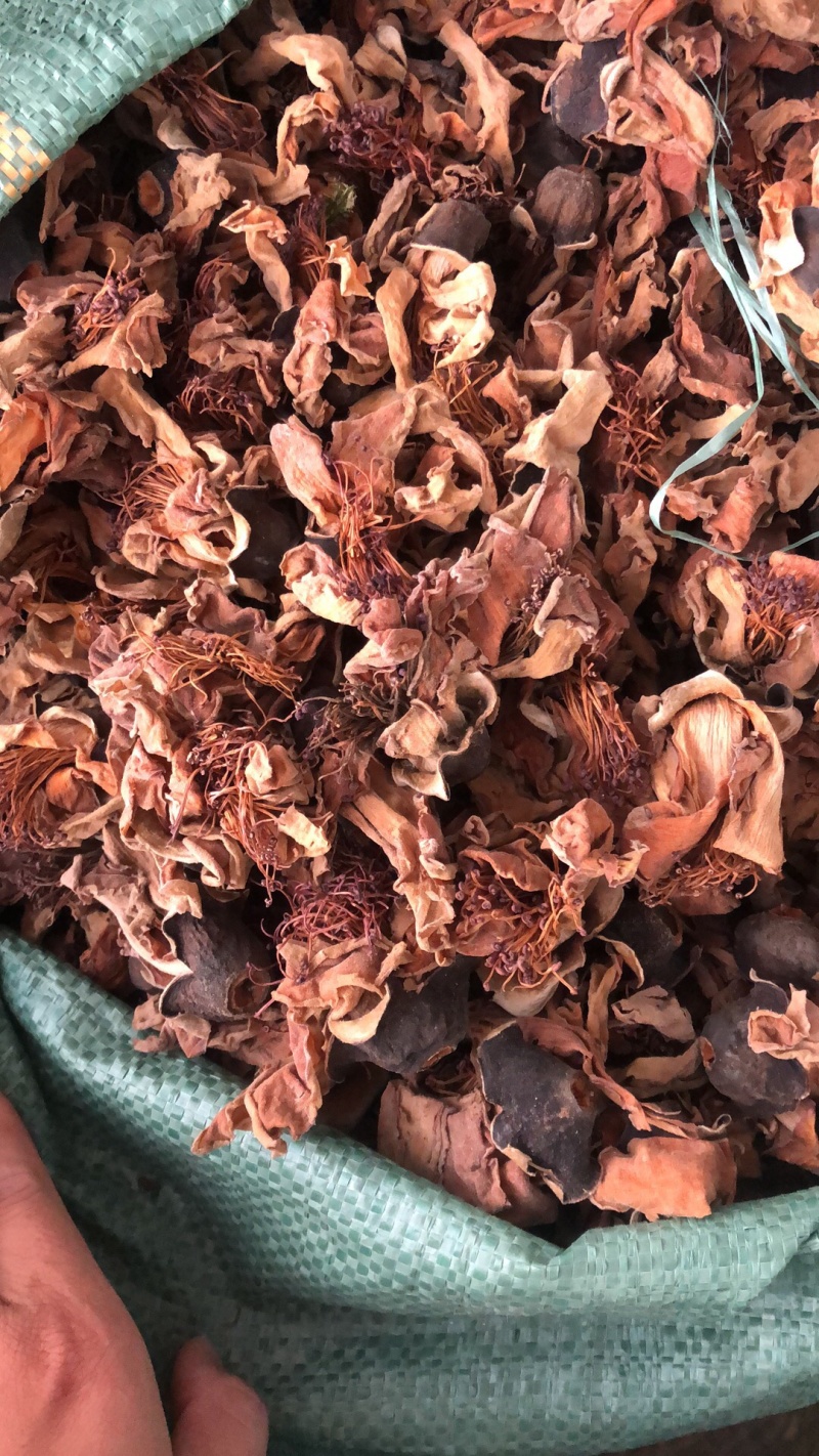 今年新货木棉花味道香喷喷滴