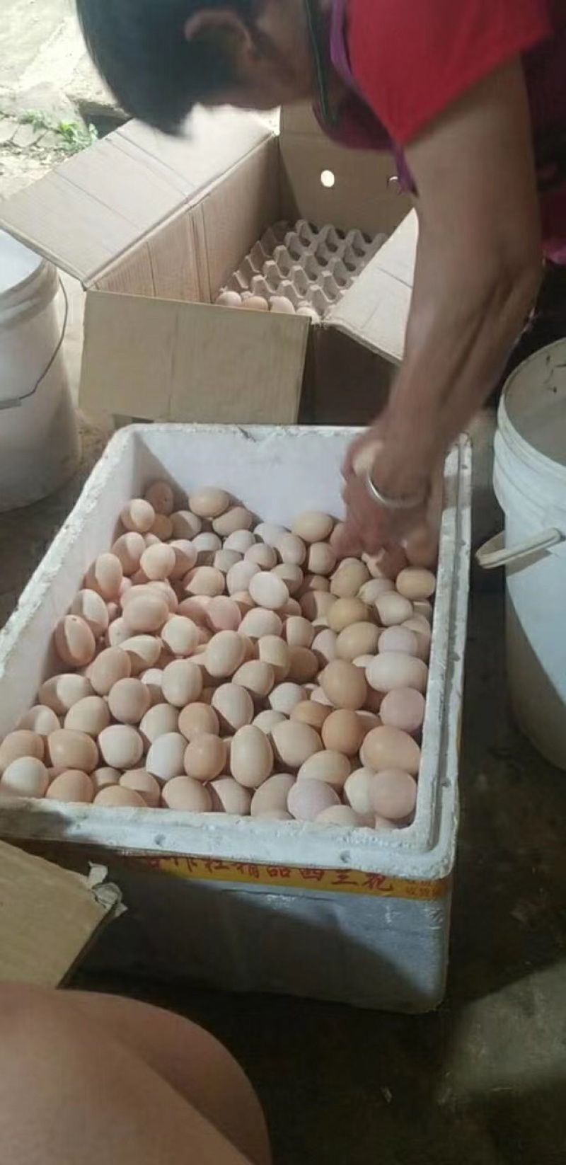 土鸡蛋粉蛋质量上乘价格合理按需包装价优