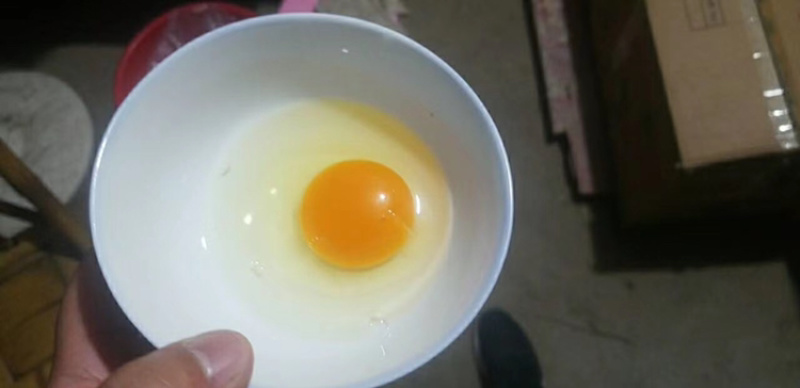土鸡蛋粉蛋质量上乘价格合理按需包装价优