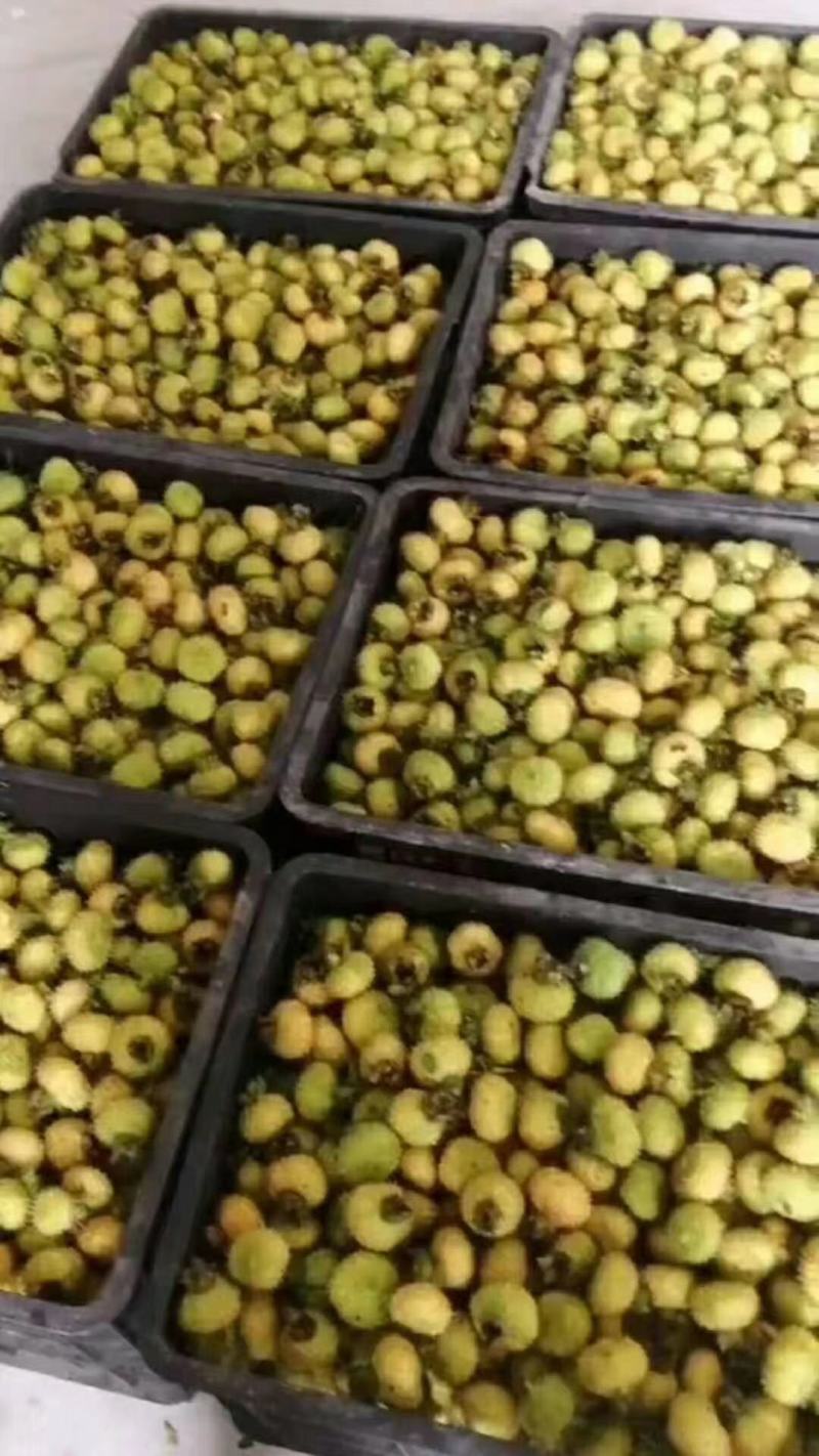新鲜刺梨，基地直发，现货