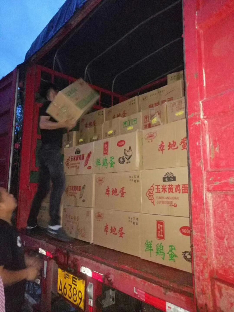 正宗皖南散养土鸡。支持全国一件代发冷链包邮。坏单包赔