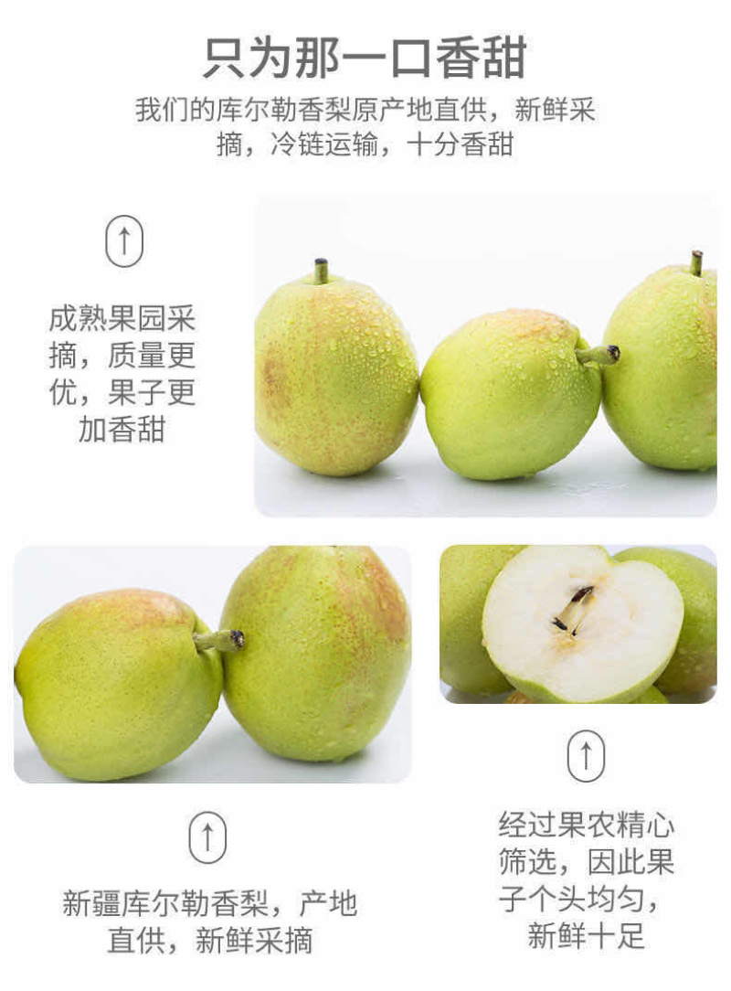 新疆库尔勒优质香梨寻找全国采购商