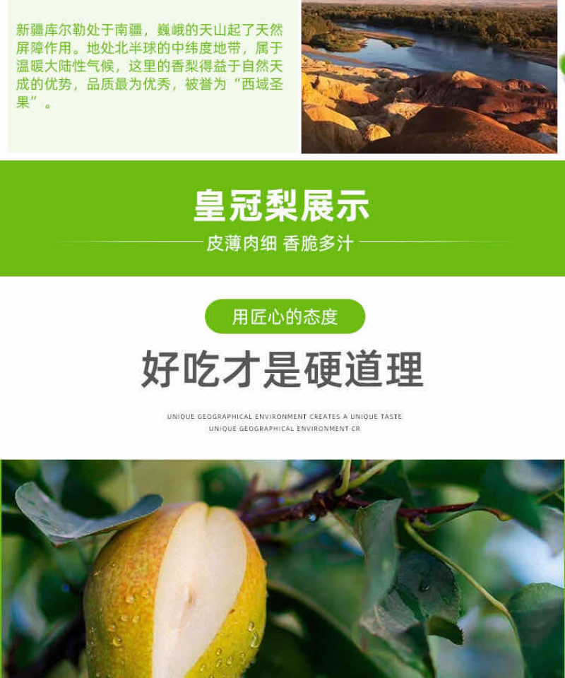 新疆库尔勒优质香梨寻找全国采购商