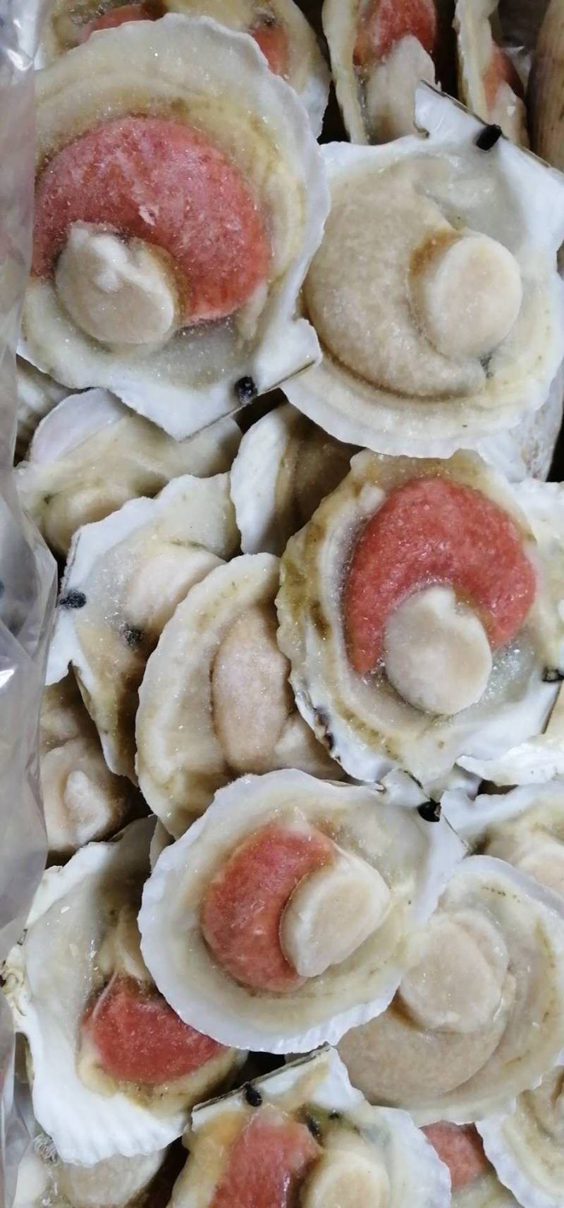 纯原汁扇贝，物美价廉