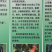 常年出售各种鸡鸭鹅苗高价回收