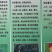 常年出售各种鸡鸭鹅苗高价回收