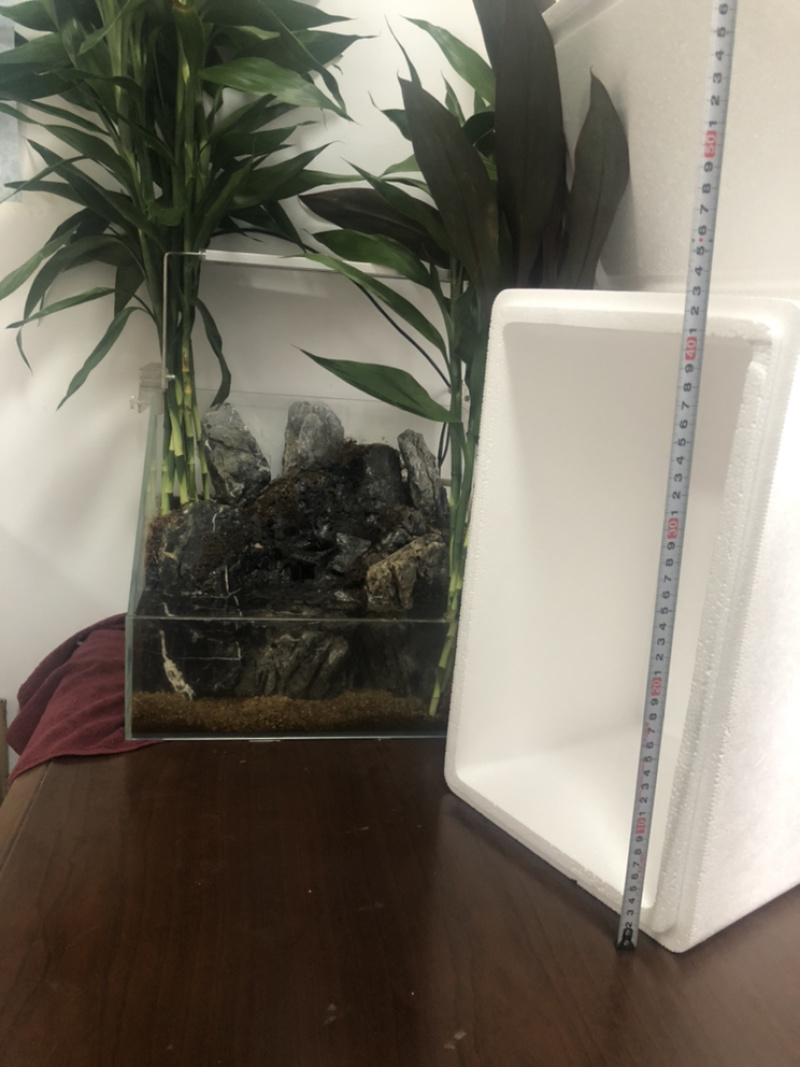 泡沫箱邮政3号4号5号6号7号8号，海鲜箱蔬菜箱
