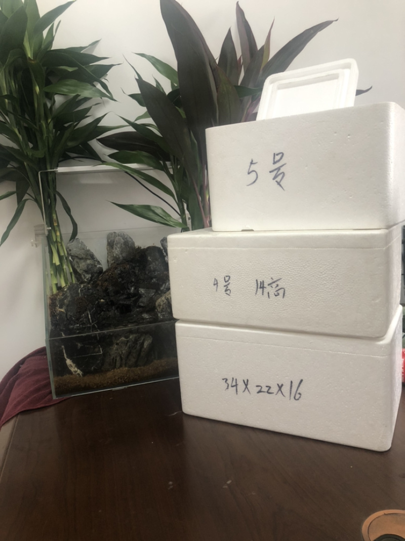 泡沫箱邮政3号4号5号6号7号8号，海鲜箱蔬菜箱