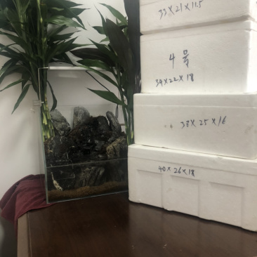泡沫箱邮政3号4号5号6号7号8号，海鲜箱蔬菜箱