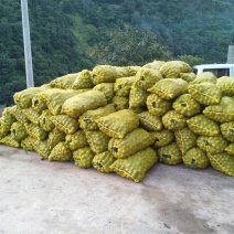 青皮核桃大量走货，同产地比价格比质量。