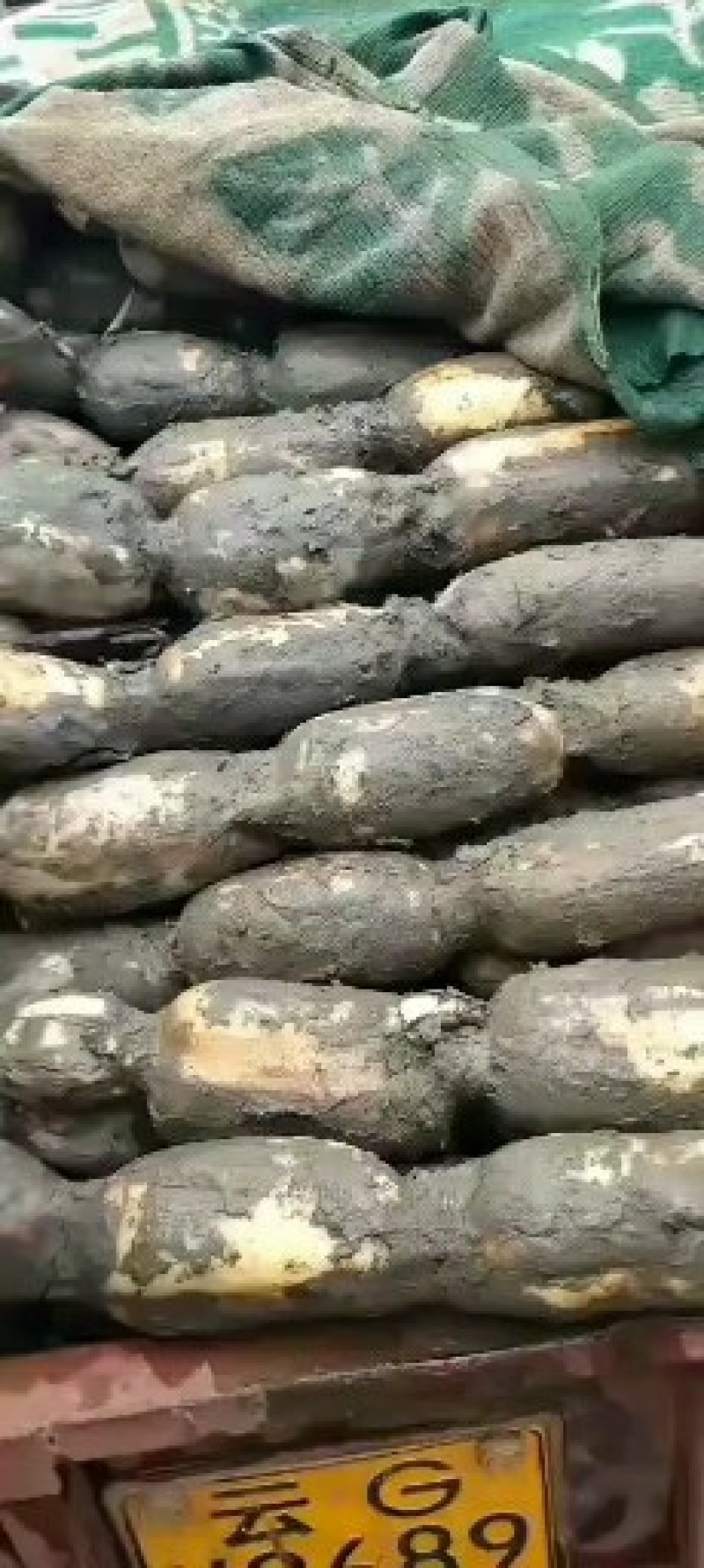 有需要莲藕的老板给我联系。