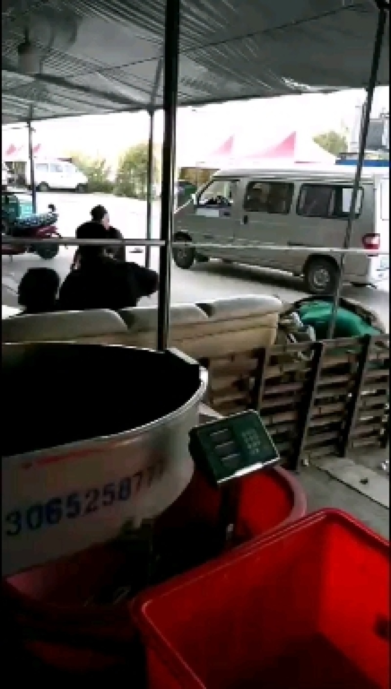盘锦精品河蟹，老头蟹，六月黄多种规格，货源充足产地直发，