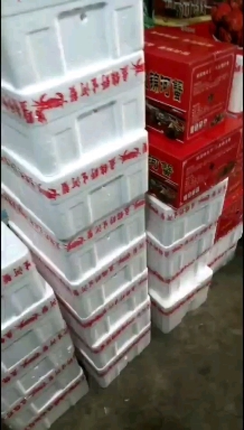 盘锦精品河蟹，老头蟹，六月黄多种规格，货源充足产地直发，