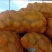 甘肃靖远土豆大量上市个体均匀3两通天