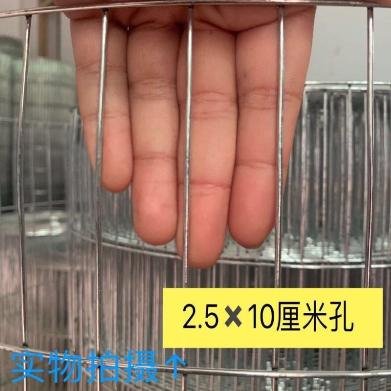 养殖网粗丝镀锌电焊网兔笼鸽笼鸟笼宠物笼圈玉米专用网