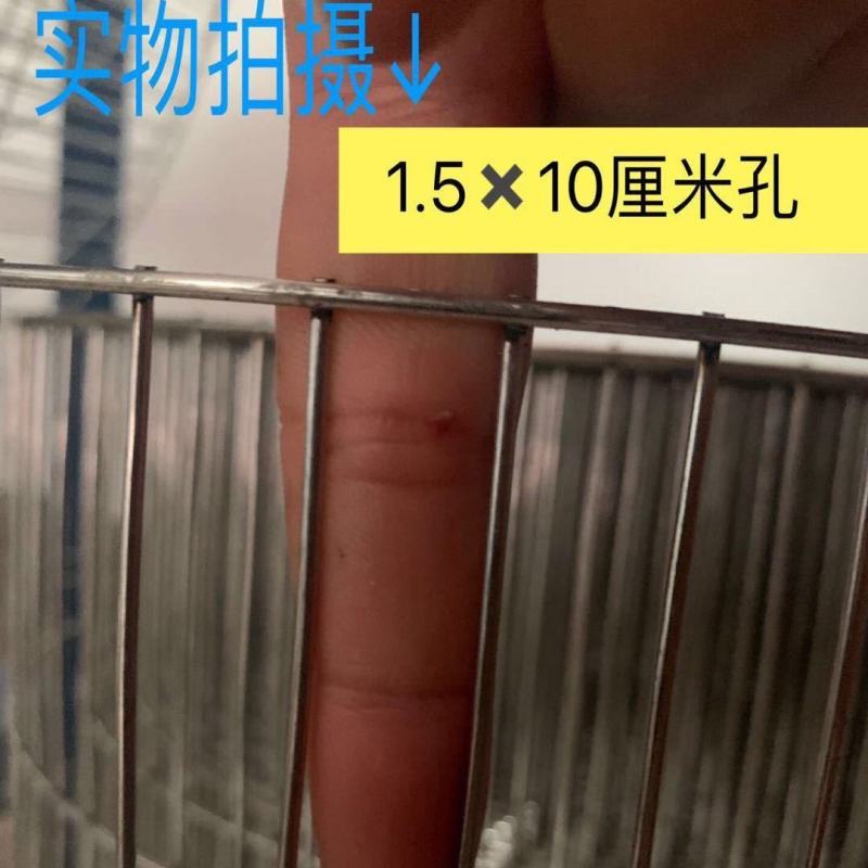 养殖网粗丝镀锌电焊网兔笼鸽笼鸟笼宠物笼圈玉米专用网