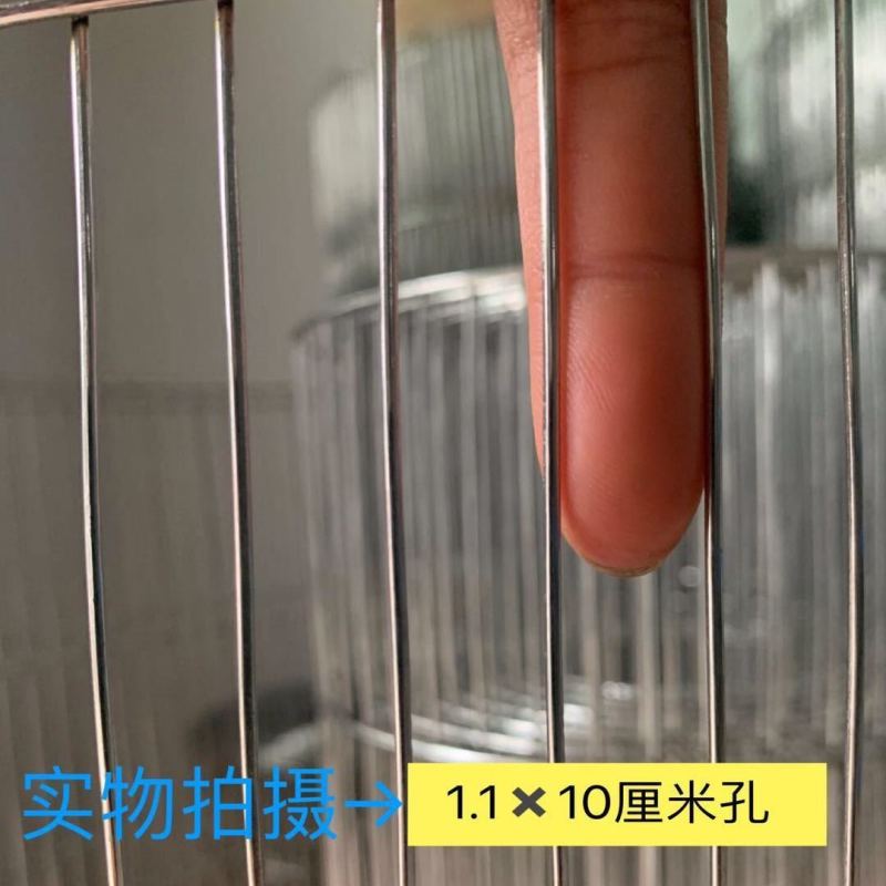 养殖网粗丝镀锌电焊网兔笼鸽笼鸟笼宠物笼圈玉米专用网