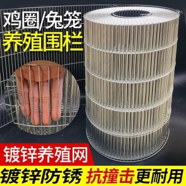 养殖网粗丝镀锌电焊网兔笼鸽笼鸟笼宠物笼圈玉米专用网