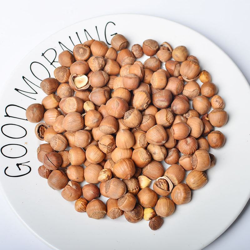 开口榛子散装原味500g休闲零食野生东北特产坚果大颗粒